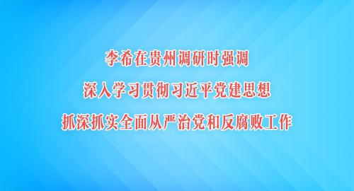 李希：深入学习贯彻习近平党建思想 抓深抓实全面从严治党和反腐败工作